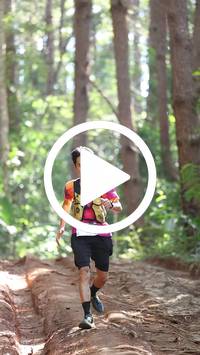 BIB:  <button type="button" onclick="openModal(26569563)" class="btn btn-primary btn-sm float-right" data-toggle="modal" data-target=".modal-high-quality">
                <i class="fa fa-download"></i> Download
                </button>